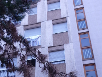 Réhabilitation de 118 logements à Lyon
