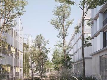 CAPELLE - Ilot mixte activités, résidence d'étudiants et jeunes actifs, avec serres en toiture